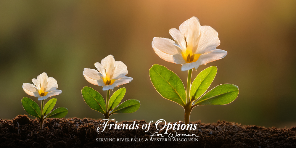 As we welcome spring and prepare for the season's newsletter, it feels fitting to share a glimpse of seeds being planted—both in our garden and community. I have already ordered mine, and they have already arrived. Yes, I am looking forward to planting, weeding (not so much), watering, and then harvesting. It's much like the word at Options for Women - River Falls, we are cultivating a seedbed of love and hope within our clients and our communities.