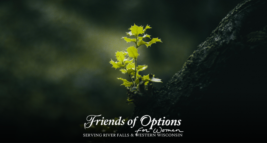 The executive director discusses the the seeds of growth that are being planted here at Options for Women-River Falls.