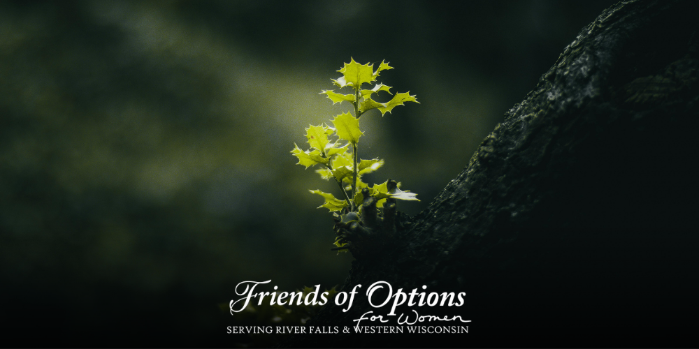 The executive director discusses the the seeds of growth that are being planted here at Options for Women-River Falls.