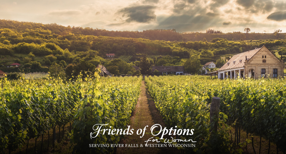 Rachel’s Vineyard